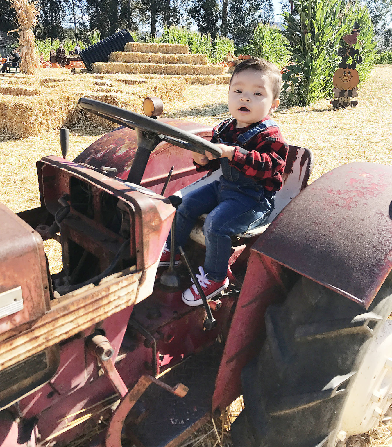 Pumpkin Patch